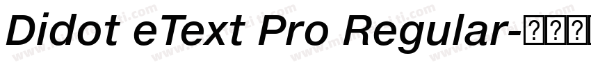 Didot eText Pro Regular字体转换